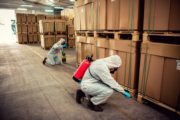 Best Local Pest Control Services  in Justice, OK
