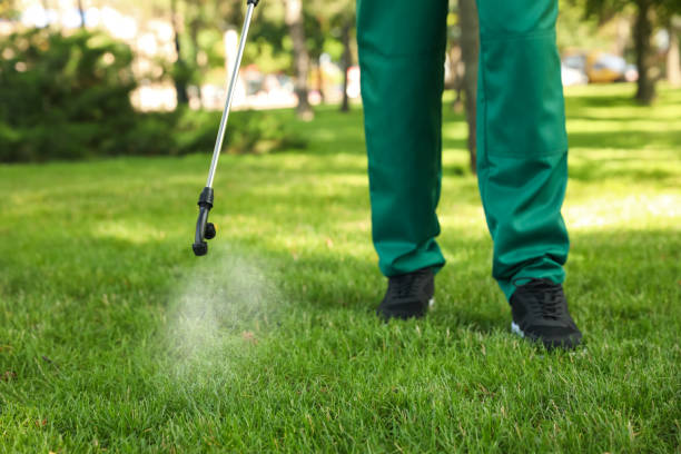 Best Best Pest Control Companies  in Justice, OK