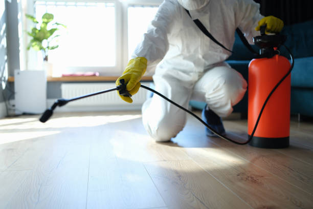 Best Pest Removal Services  in Justice, OK