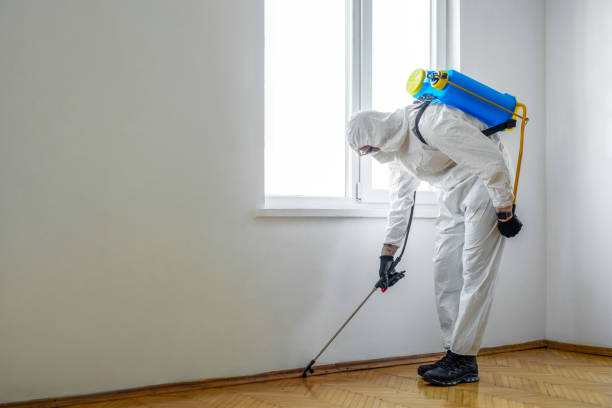 Best Best Pest Control Companies  in Justice, OK